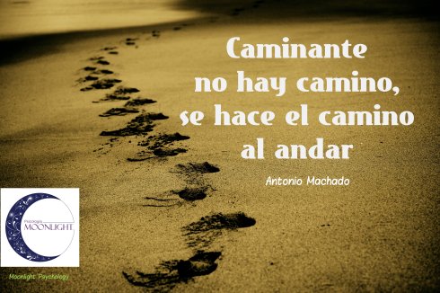 photo-1429617063361-de61bf0ae8b1B